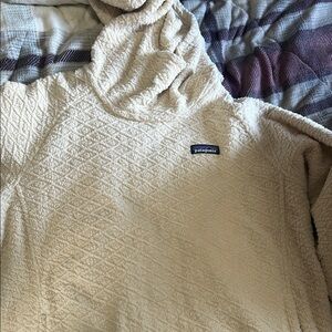 Patagonia Cream Textured Hoodie